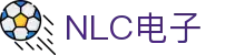 NLC电子数码集团